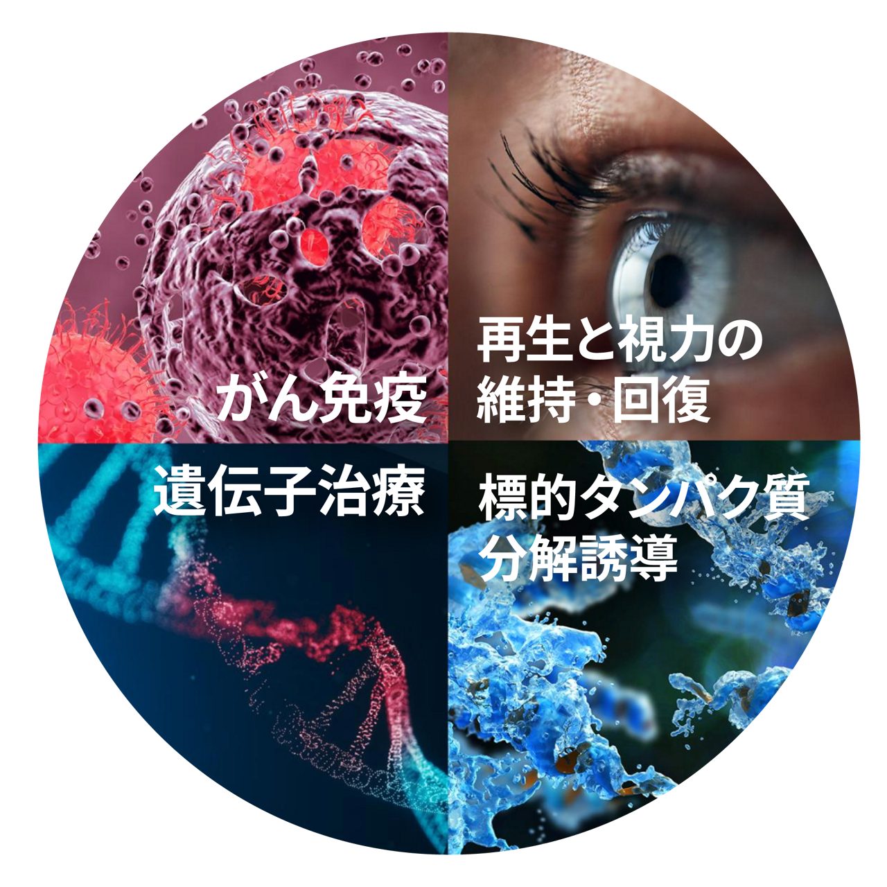Our four Primary Focuses mobile