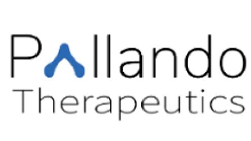 Pallando logo