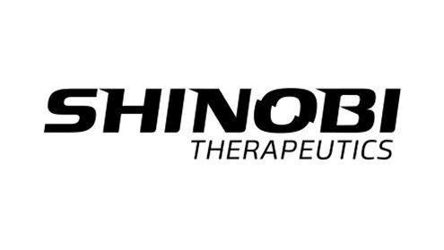 Shinobi logo