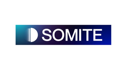 Somite logo