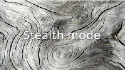 Stealth logo