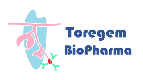 Toregem logo