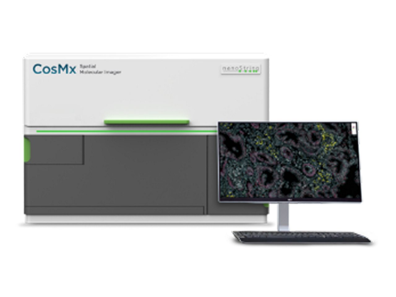 CosMx SMI (NanoString technologies, Inc.)