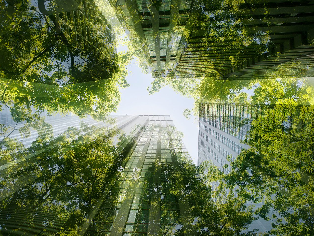 Sustainability