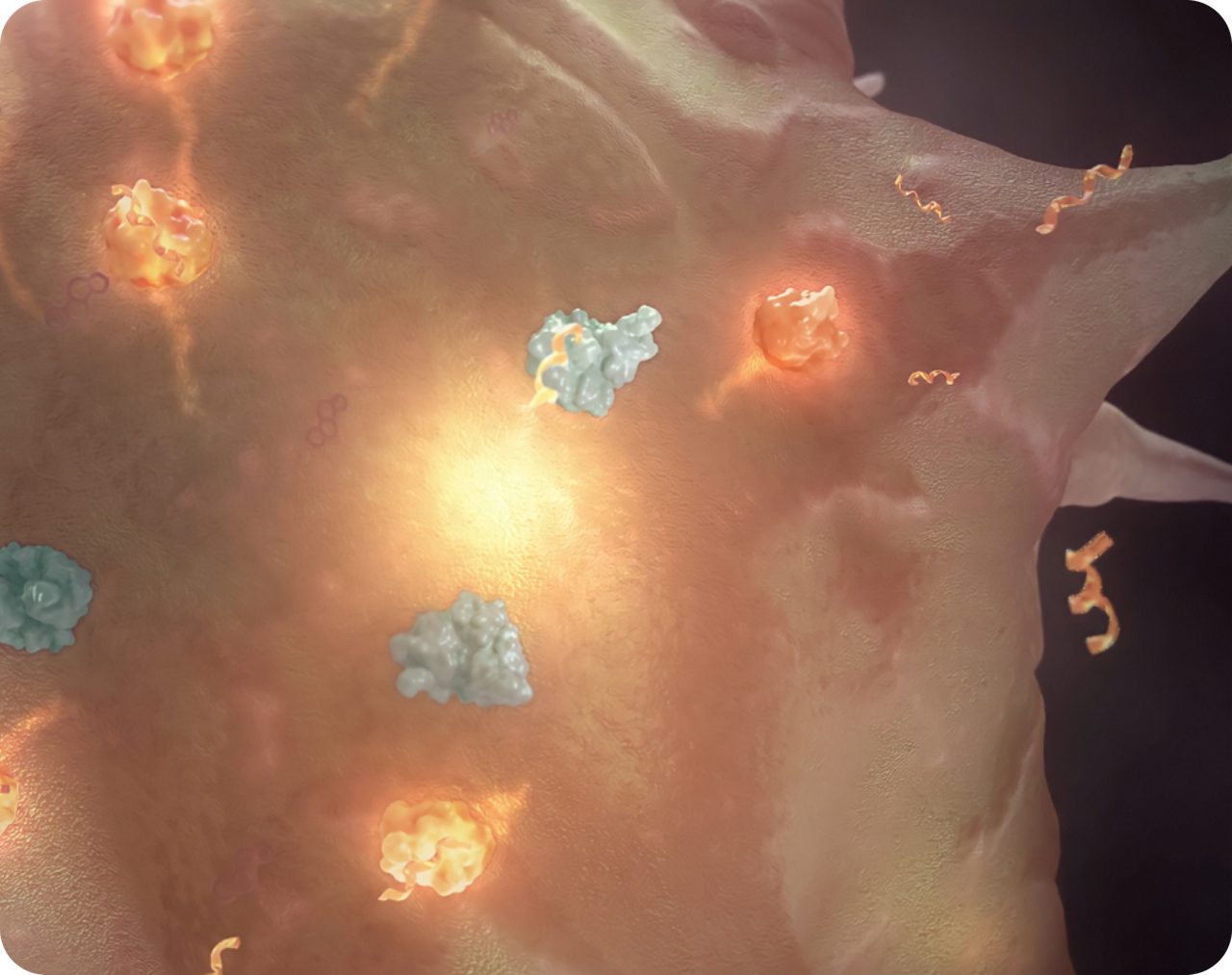 Inside the source of a hot flush