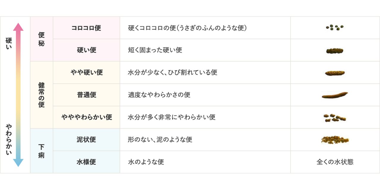 便形状の分類（ブリストル・便形状スケール）