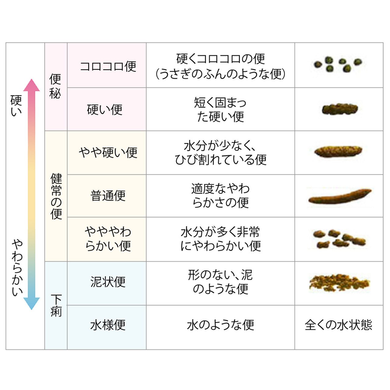 便形状の分類（ブリストル・便形状スケール）