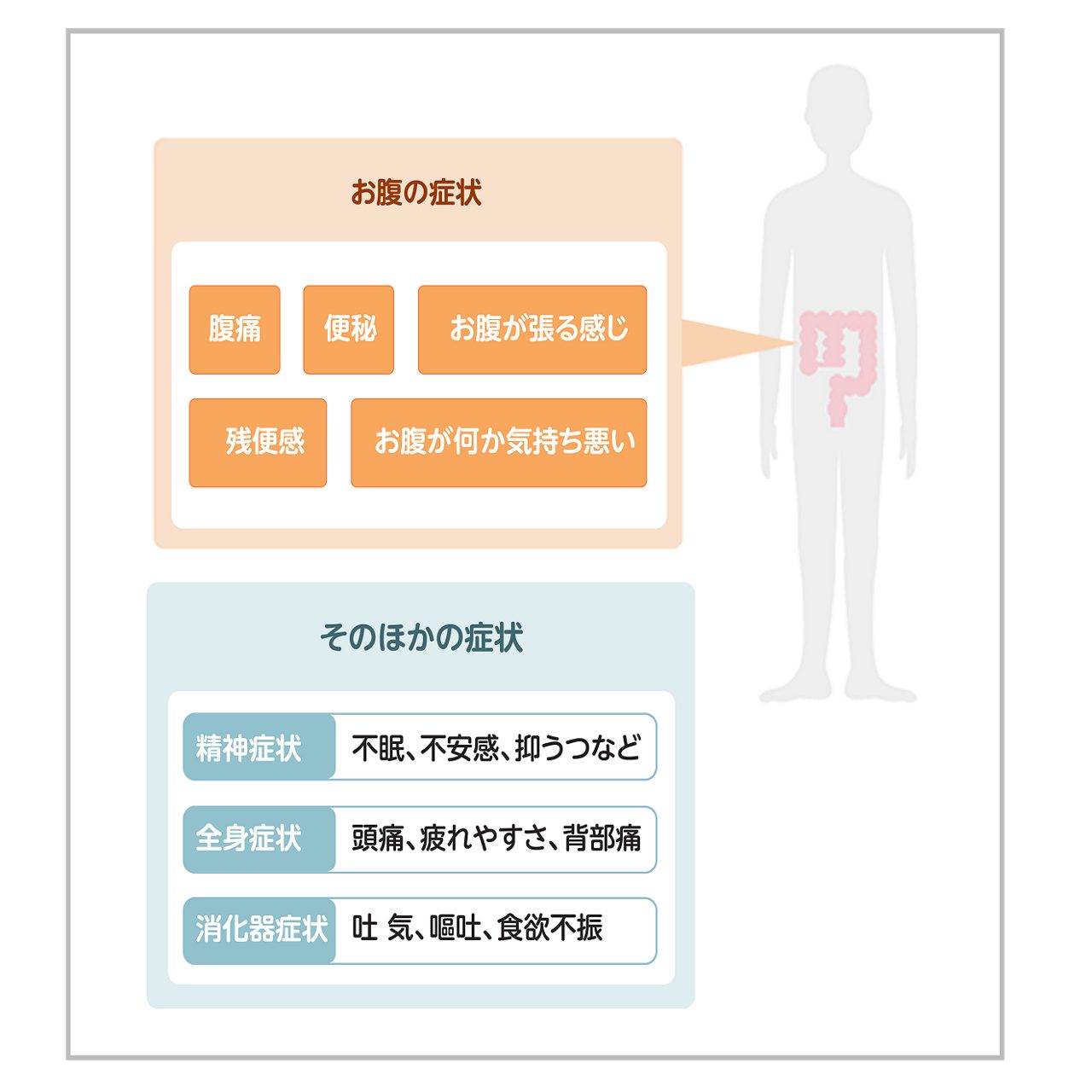 便秘型IBSの症状
