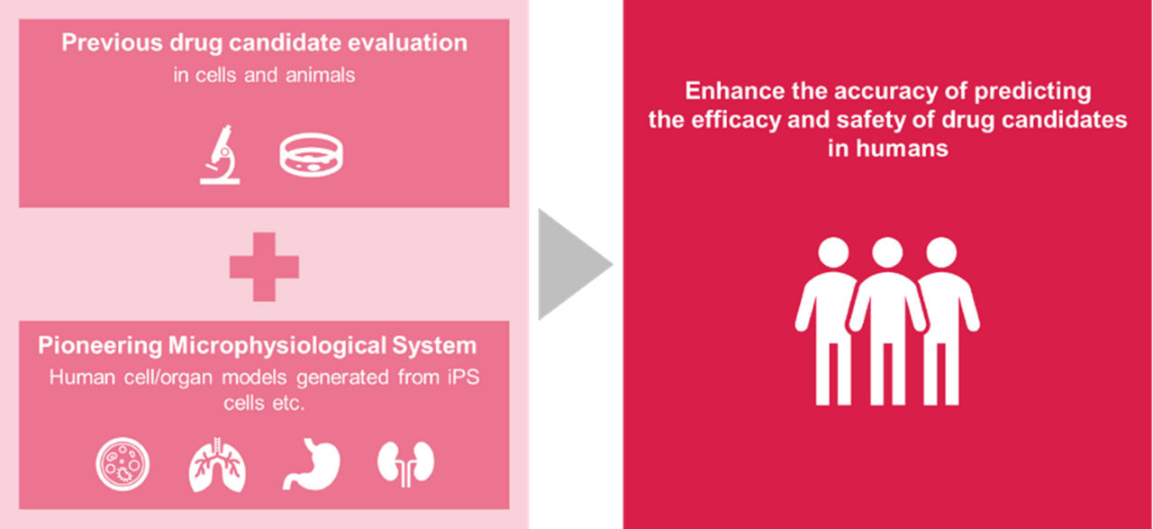 Diagram illustrating drug candidate evolution and the use of microphysiological systems to improve efficacy and safety predictions in humans.