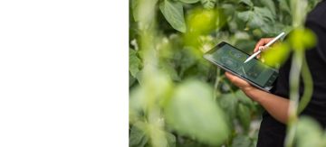 アステラスの社員がタブレット端末を使用し、環境保全に関する投資額と費用を計算しています。