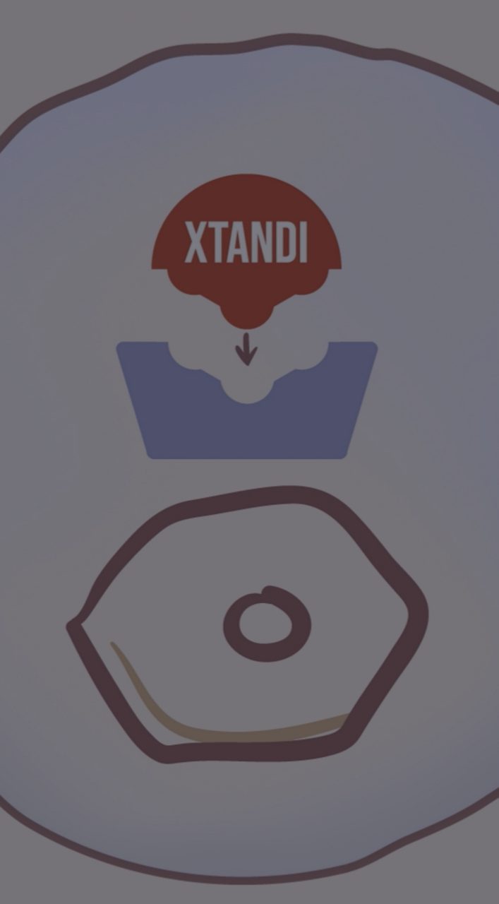 How Enzalutamide works: the mechanism of action