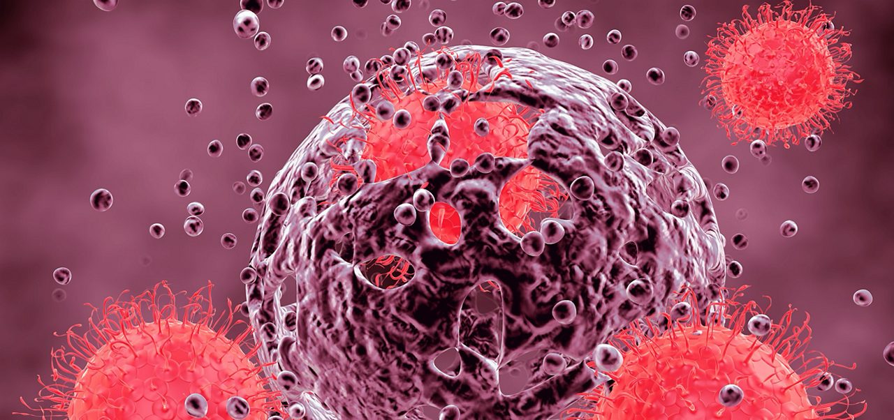 赤色の細胞モデルは、腫瘍免疫学への深い理解を活かし、明日のがん治療薬を開発することを目指したアステラスの取り組みを表しています。