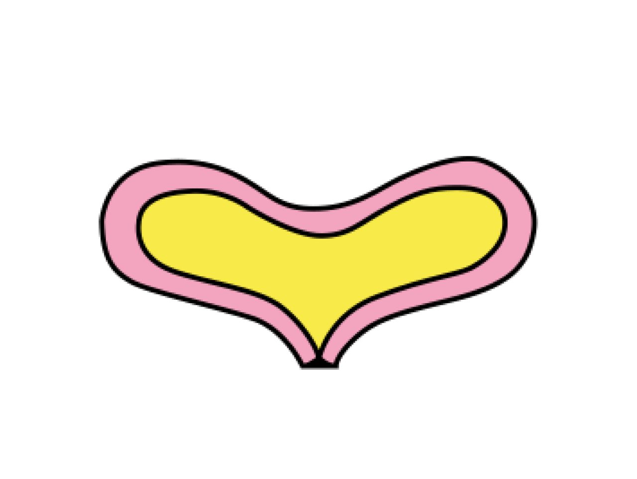 overactive bladder, normal bladder diagram