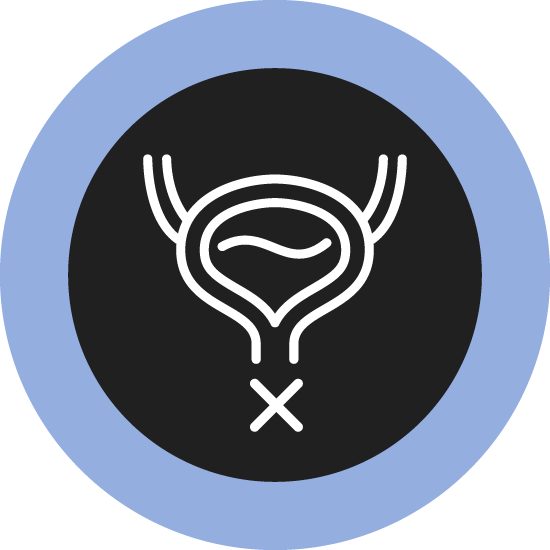 Bladder icon