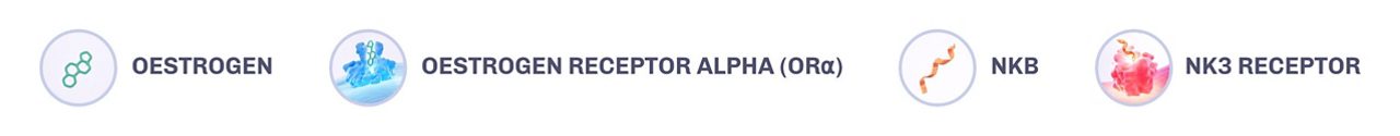 A legend including Oestrogen, oestrogen receptor alpha, neurokinin B, neurokinin 3 receptor
